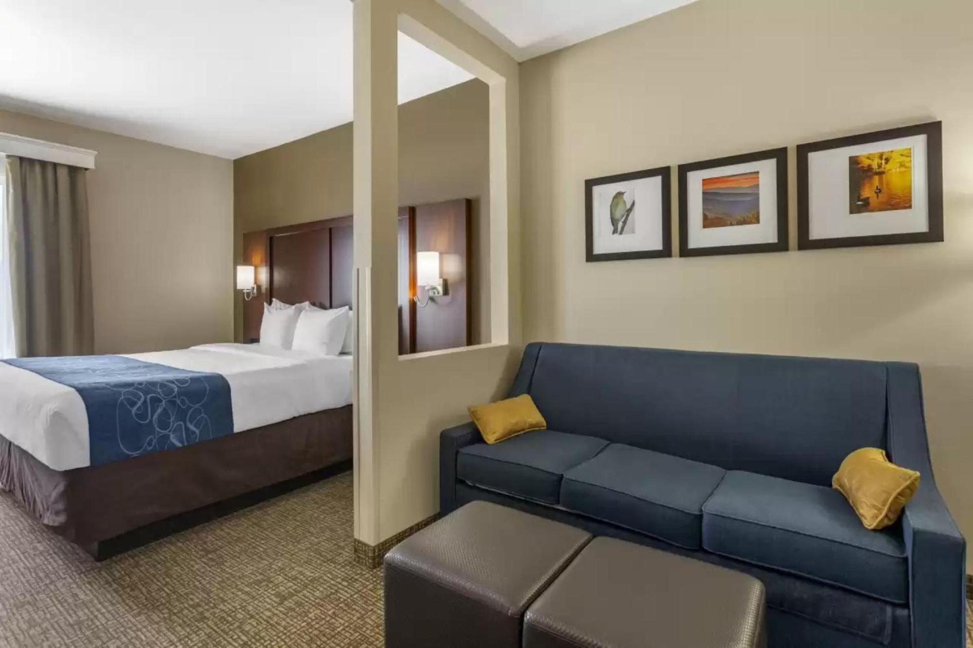 Comfort Suites At Rivergate Mall Goodlettsville Exterior foto